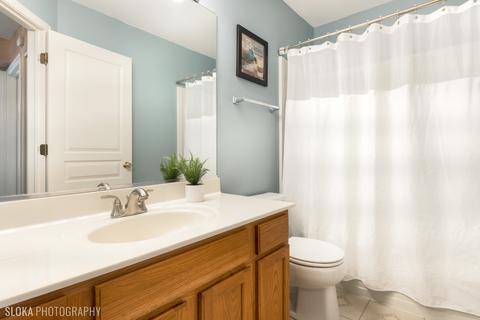 835 Mesa Dr, Elgin, IL 60123 photo 17