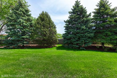 835 Mesa Dr, Elgin, IL 60123 photo 19