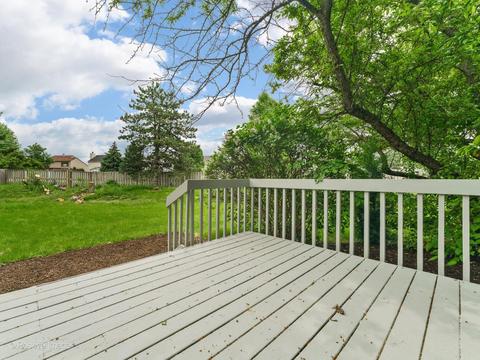 413 Cinnamon Ct, Bartlett, IL 60103 photo 23