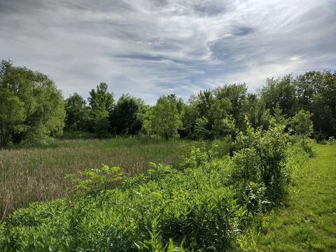 608 Spring Dr, Marengo, IL 60152 photo 39