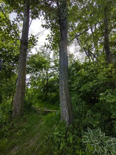 608 Spring Dr, Marengo, IL 60152 photo 38