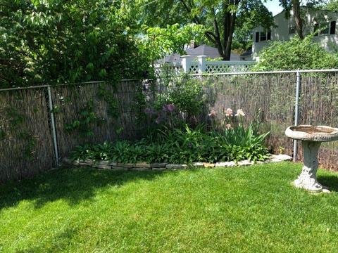 406 S Williston St, Wheaton, IL 60187 photo 5