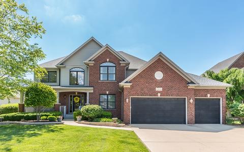 12820 Scoter Ct, Plainfield, IL 60585 photo 1