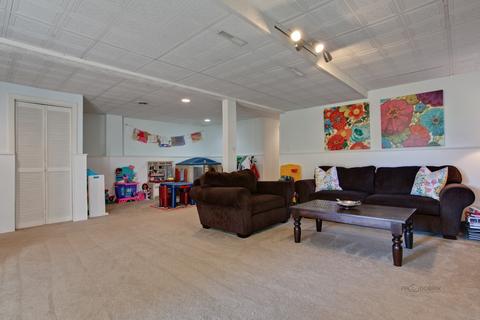 1503 Brorson Ln, Johnsburg, IL 60051 photo 18