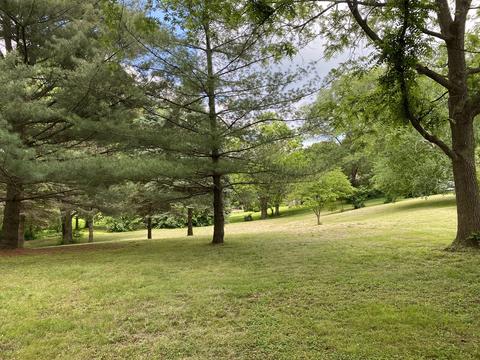 1639 Park St, Mchenry, IL 60050 photo 21