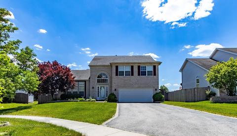 7317 Southworth Cir, Plainfield, IL 60586 photo 27