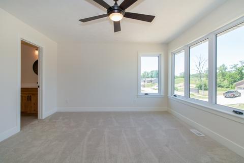 401 N Raef Rd, Downs, IL 61736 photo 31