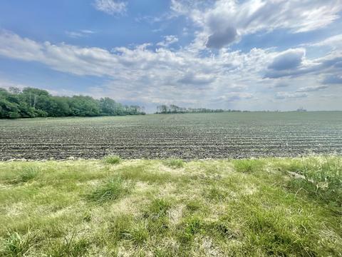 33986 E 2900 North Rd, Dwight, IL 60420 photo 32