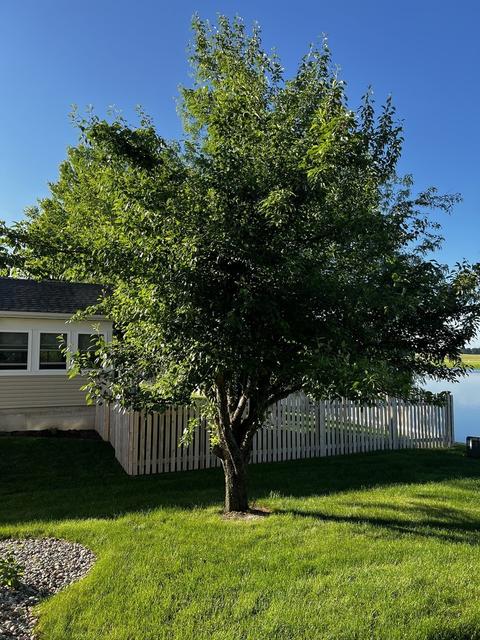 711 Casey Dr, Minooka, IL 60447 photo 31