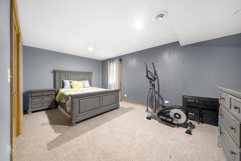 5131 Fairground Ct, Monee, IL 60449 photo 19