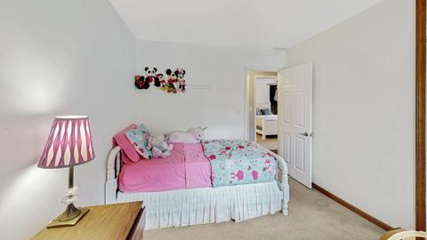 12 Hampton Rd, Montgomery, IL 60538 photo 24