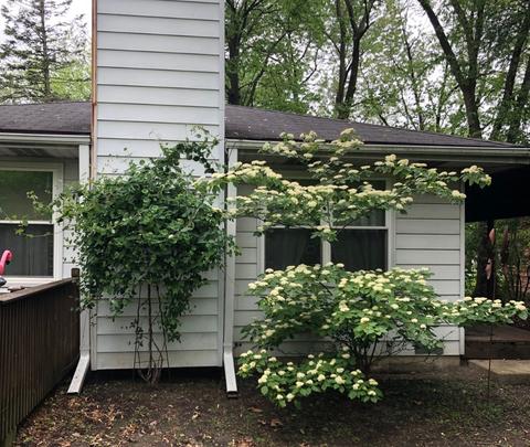 7249 Central Ave, Burr Ridge, IL 60527 photo 48