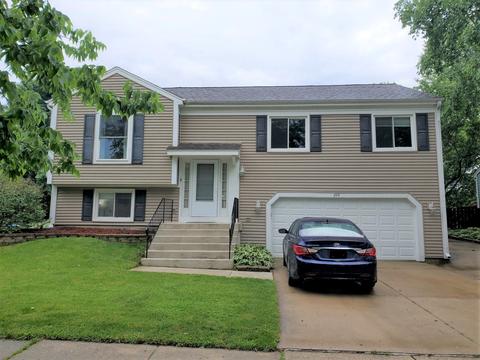 224 Scott Ct, Bartlett, IL 60103 photo 1