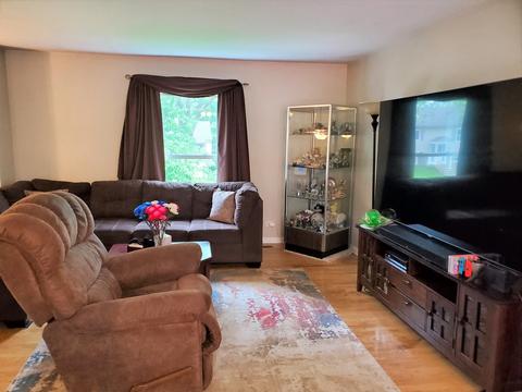 224 Scott Ct, Bartlett, IL 60103 photo 6