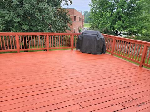 224 Scott Ct, Bartlett, IL 60103 photo 11