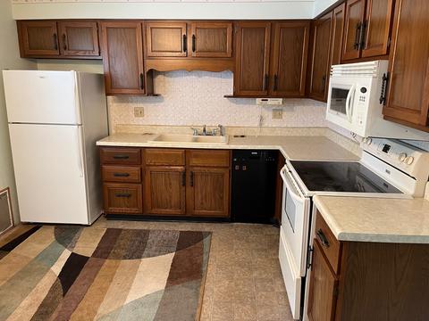 804 E Washington St, Le Roy, IL 61752 photo 52