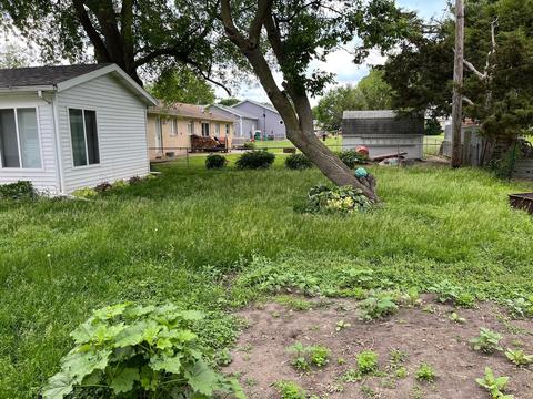 804 E Washington St, Le Roy, IL 61752 photo 44