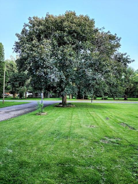 107 North St, Newark, IL 60541 photo 31