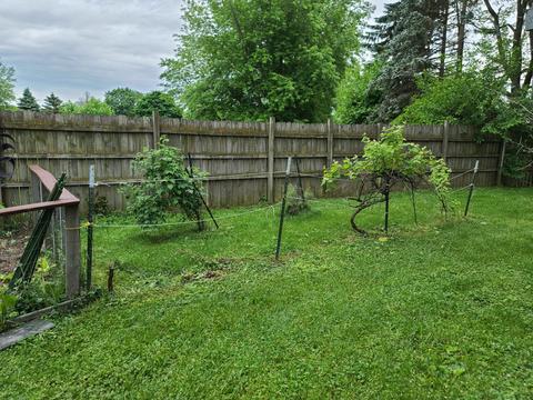 8511 Nolan St, Harvard, IL 60033 photo 40