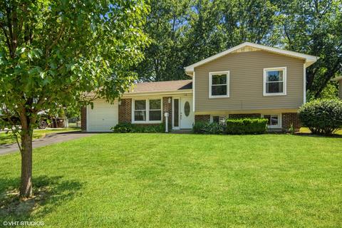 110 Meadowbrook Ln, Lake Zurich, IL 60047