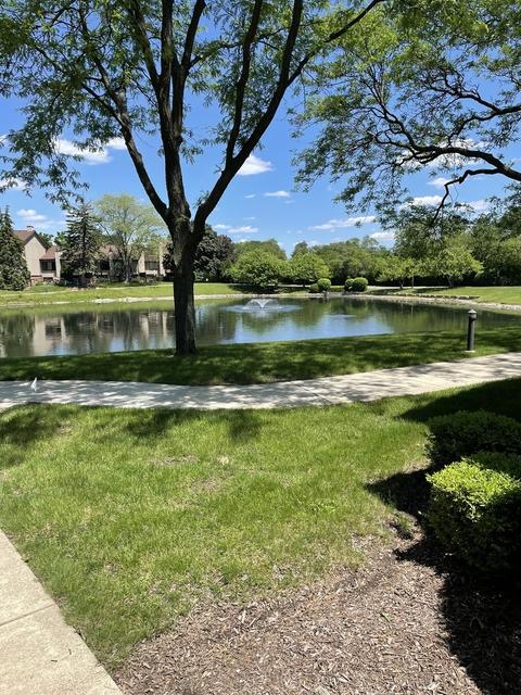 Undisclosed, Willowbrook, IL 60527 photo 5