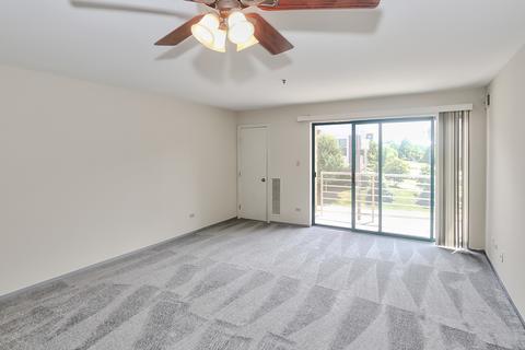 3255 Kirchoff Rd #208, Rolling Meadows, IL 60008 photo 5