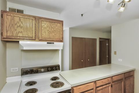 3255 Kirchoff Rd #208, Rolling Meadows, IL 60008 photo 11