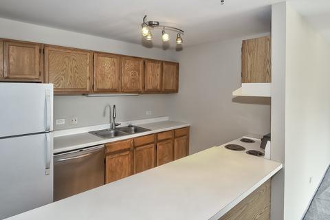 3255 Kirchoff Rd #208, Rolling Meadows, IL 60008 photo 8