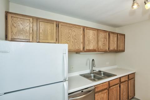 3255 Kirchoff Rd #208, Rolling Meadows, IL 60008 photo 10