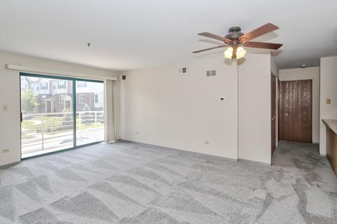 3255 Kirchoff Rd #208, Rolling Meadows, IL 60008 photo 7