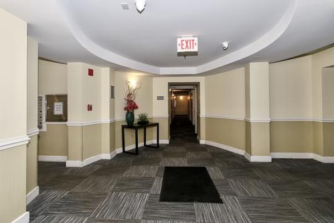 3255 Kirchoff Rd #208, Rolling Meadows, IL 60008 photo 20