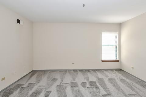 3255 Kirchoff Rd #208, Rolling Meadows, IL 60008 photo 14