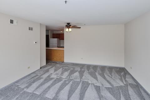 3255 Kirchoff Rd #208, Rolling Meadows, IL 60008 photo 6