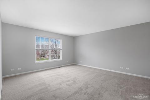 11621 S Decathalon Dr, Plainfield, IL 60585 photo 16
