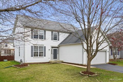 11621 S Decathalon Dr, Plainfield, IL 60585 photo 1