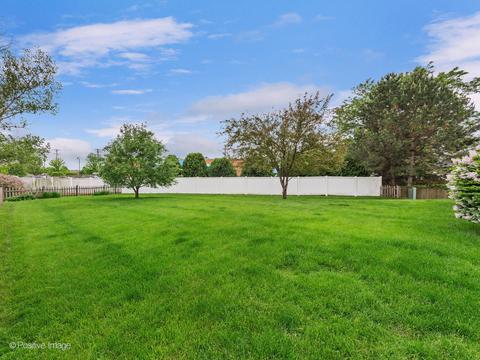 1608 Brighton Ln, Plainfield, IL 60586 photo 20