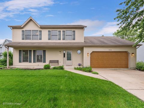 1608 Brighton Ln, Plainfield, IL 60586 photo 1