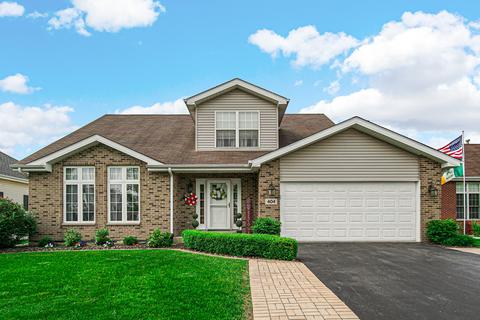 404 Saddle Run Ln, Beecher, IL 60401 photo 1