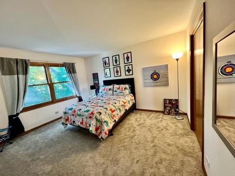 1007 Shimer Ct, Naperville, IL 60565 photo 18