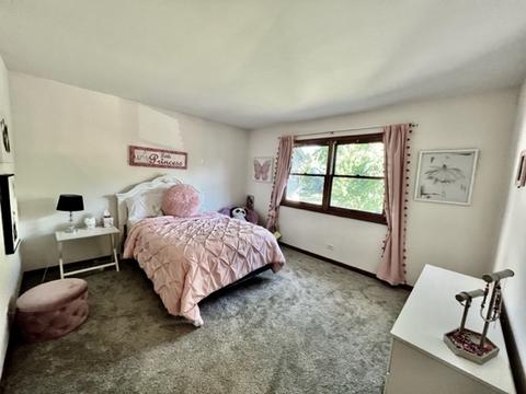 1007 Shimer Ct, Naperville, IL 60565 photo 19