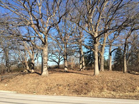 46 Otis Rd, Barrington Hills, IL 60010 photo 5