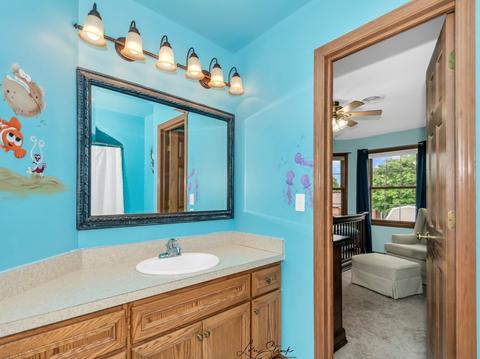 1811 Kingtree Dr, Morris, IL 60450 photo 24