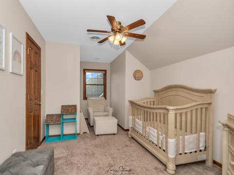 1811 Kingtree Dr, Morris, IL 60450 photo 25