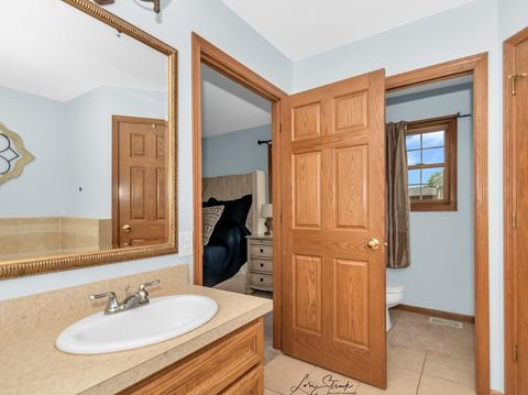 1811 Kingtree Dr, Morris, IL 60450 photo 19