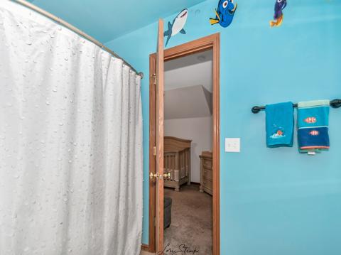 1811 Kingtree Dr, Morris, IL 60450 photo 23