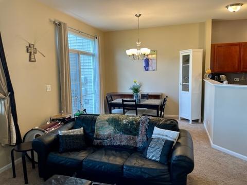 663 Arbor Cir, Lakemoor, IL 60051 photo 6