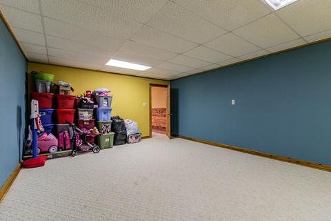 103 W Stahl Dr, Philo, IL 61864 photo 32