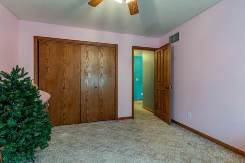 103 W Stahl Dr, Philo, IL 61864 photo 25
