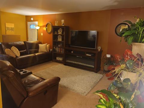 3968 Arthur Terrace Ct, Markham, IL 60428 photo 9