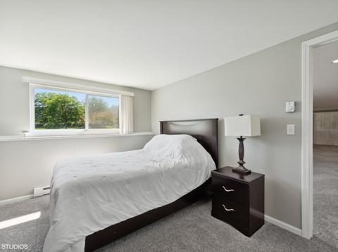 2321 Tracy Ln, Algonquin, IL 60102 photo 17